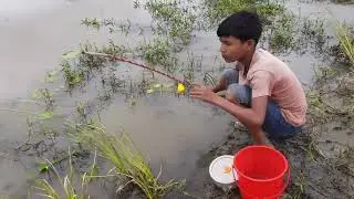 Amazing hook fishing video - village smart boy catching fish by hook in the village river !! 