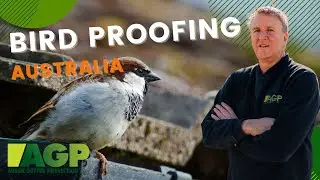 Bird Proofing in Australia with Gutter Protection Systems