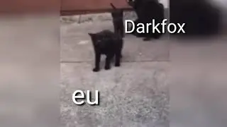 Untitled video