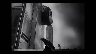 Street photography im Regen