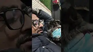 reels ka shokeen billa #viral #cat #cute #newsong #song #trending #shorts #shortvideo #subscribe