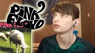 Pink Floyd - Sheep HIP HOP HEAD REACTION/DISCUSSION