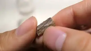 2021 Dr.Incense Sinking Nha Trang