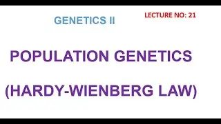 Hardy Weinberg Law | Hardy Weinberg equilibrium | genetics lectures #biology learning zone
