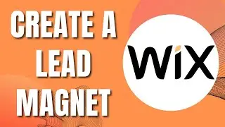 How To Create A Lead Magnet On Wix (Easily 2023)