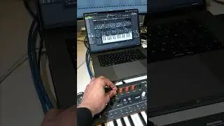Hybrydowy syntezator z dedykowaną wtyczką - Arturia MiniFreak