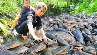 Lucky Day of Fishing: Catching Giant Carp and Catfish by Hand in the Steam to Sell at Market
