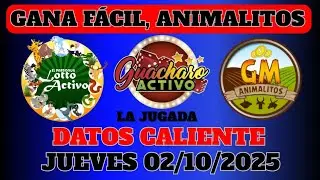 Datos Para Los Animalitos, Hoy Jueves 02/10/2025🔥