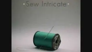 Sew Intricate- You Called Me Hot (with lyrics)