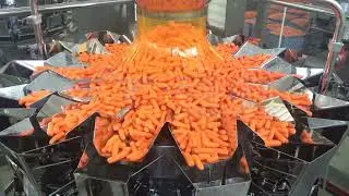 Carrot packaging and cleaning system . Full automatic weighting & packaging .One man can control it.