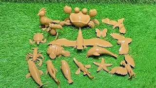 From the Ocean Waves to Sky:🐬🦜Learn and Play with Ocean Animals & Sky Serpent's!