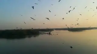 netty jetty karachi