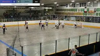 BCBHA Men's 'A' Provincials - Blackjacks vs Misfits