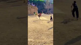 Change of Pace || Leg Cutter || #pcb #cricket #psl8 #shots #psl #tennisballs