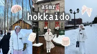 Hokkaido Diaries ❄️ Winter Ambience & Cozy Scenery🧸🤍 (ASMR Scenery)