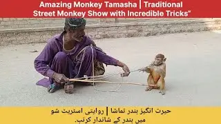 Amazing Monkey Tamasha | Traditional Street Monkey Show with Incredible Tricks.