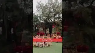 Unique Wedding Destination Ideas For A Quirky Wedding!