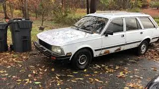 1984 Peugeot 505 TD wagon cold start