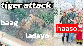 Jawalakhel Lalitpur Kati Haasne hoo #comedy #viral #zoo