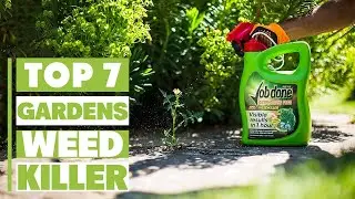 Top 7 Weed Killers for Gardens That Are Safe and Effective