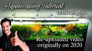 The best planted aquarium of kerala. Do u agree?