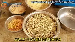 Causes and solutions for failure of feed pellet machine test