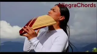 The Blend of Wind and Nature