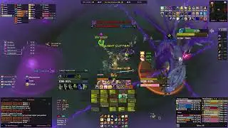 Warmane POV Holy Paladin RS 25 Heroic Halion