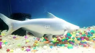 First Time In Vellore Water World Full View l Vellore Exhibition 2022