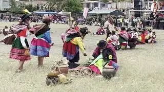 AYLLUS DE CHACLACAYO PACCHA, PRESENTACION EN EL QATUN PUKLLAY MAMA AYACUCHO 2024