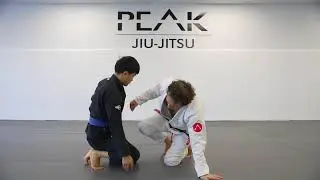 Collar Elbow Hook / Butterfly Sweep: Clearing the Leg Post