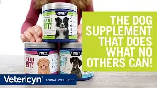 ALL-IN &ndash;&nbsp;the complete life stage dog supplement featuring bioactive absorption technology.