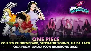 One Piece Q&A - GalaxyCon Richmond 2023
