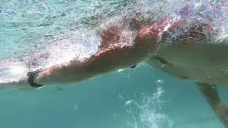 UNDERWATER Stock Footage (Man Swimming)