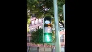 Traffic lights with countdown indicator