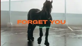 FAST BOY x Topic - Forget You (Official Audio)