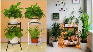 Very Creative Indoor plants 🪴 corner wall decoration ideas