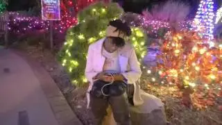 Stan Hywet's DECK THE HALL Mannequin Challenge!