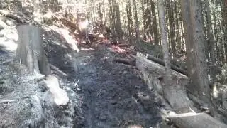 Glacial Till