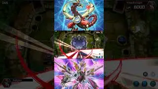 New Stargazer combo + Starving Venom Wing scale  (combo for MD)   #yugioh #yugiohcards #masterduel