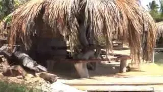 Ecolodgy