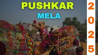 Pushkar Mela 2025 &ndash; Crowd, Colors & Culture Full Cinematic Vlog