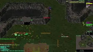Free Infantry Live Stream  330 Bug Hunt Pop