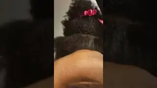 LOOK UP CLOSE; THE BLOW-DRY WITH NO FLAT IRON. LESS HEAT MORE GROWTH #naturalhairtutorial #hairtok