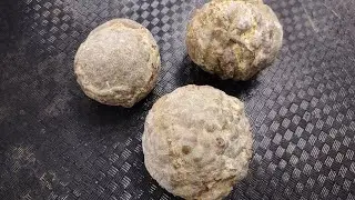 Давайте разрежем несколько громовых яиц и посмотрим, что внутри?