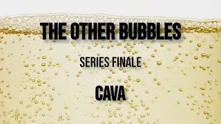 Poema Brut Cava Review | The Final Pour: A New Year’s Toast to 2025