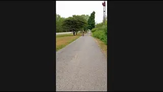 Daily walk 01 #shorts