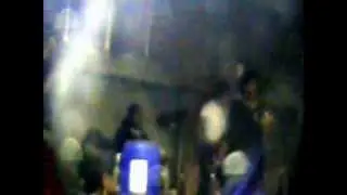 Solterito de kurare