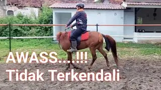 CARA BERKUDA LATIHAN DASAR 2 || Sekolah Berkuda YARLA STABLE