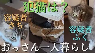 【破壊猫】『こたつ』がひっくり返されていました！犯猫は『さち』か『ふく』か？　一部始終を監視カメラがとらえていました。　本日のおまけ映像もあります。